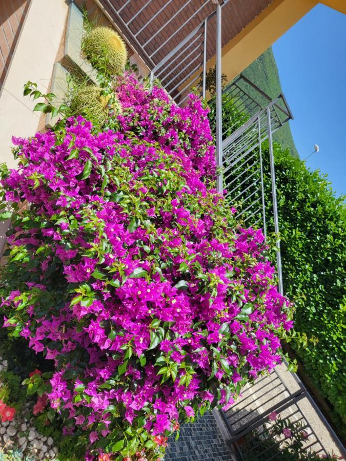 B&B Rossella Montoro Inferiore Buitenkant foto